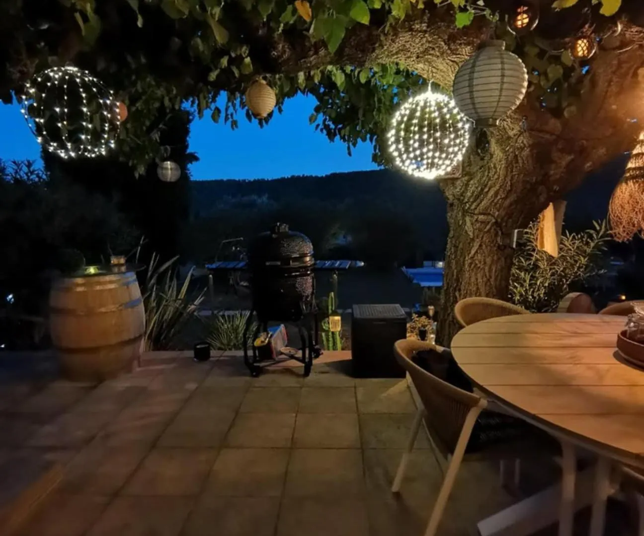 Villa Figuier Salernes Holiday home